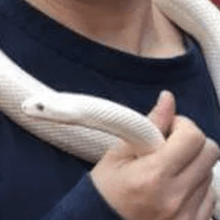 ココナラ電話相談　田中博之　愚痴りたい　愚痴を言いたい　弱音を吐きたい　誰かと話したい　応援してほしい　寂しい　苦しい　相談したい