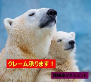 ココナラ電話相談　しまむら　愚痴りたい　愚痴を言いたい　弱音を吐きたい　誰かと話したい　応援してほしい　寂しい　苦しい　相談したい