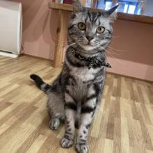 れた貴女の愚痴を聞いて癒してくれる男性　ココナラ電話相談　はるいち